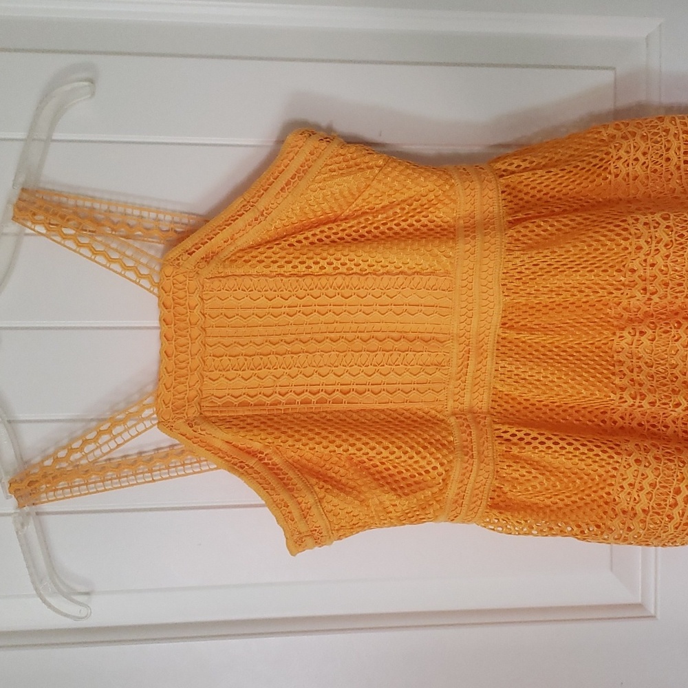 Tahari ASL Honey On My Mind Lace Apron Neck Dress Size 2 NEW - Picture 4 of 10
